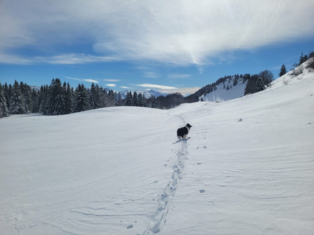 plateau de la molière hiver 2026 vercors randonnée