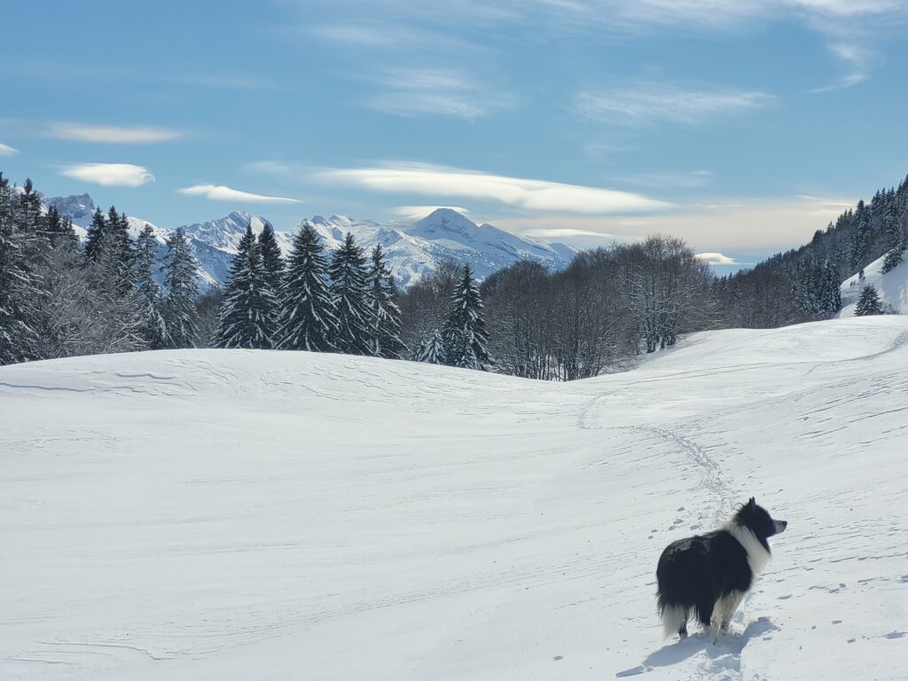 hiver 2026 vercors randonnée 