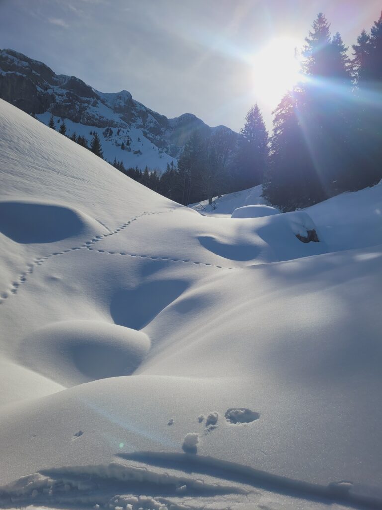 paysage sous la neige sous Vercors hiver  2026 Vercors randonnée 