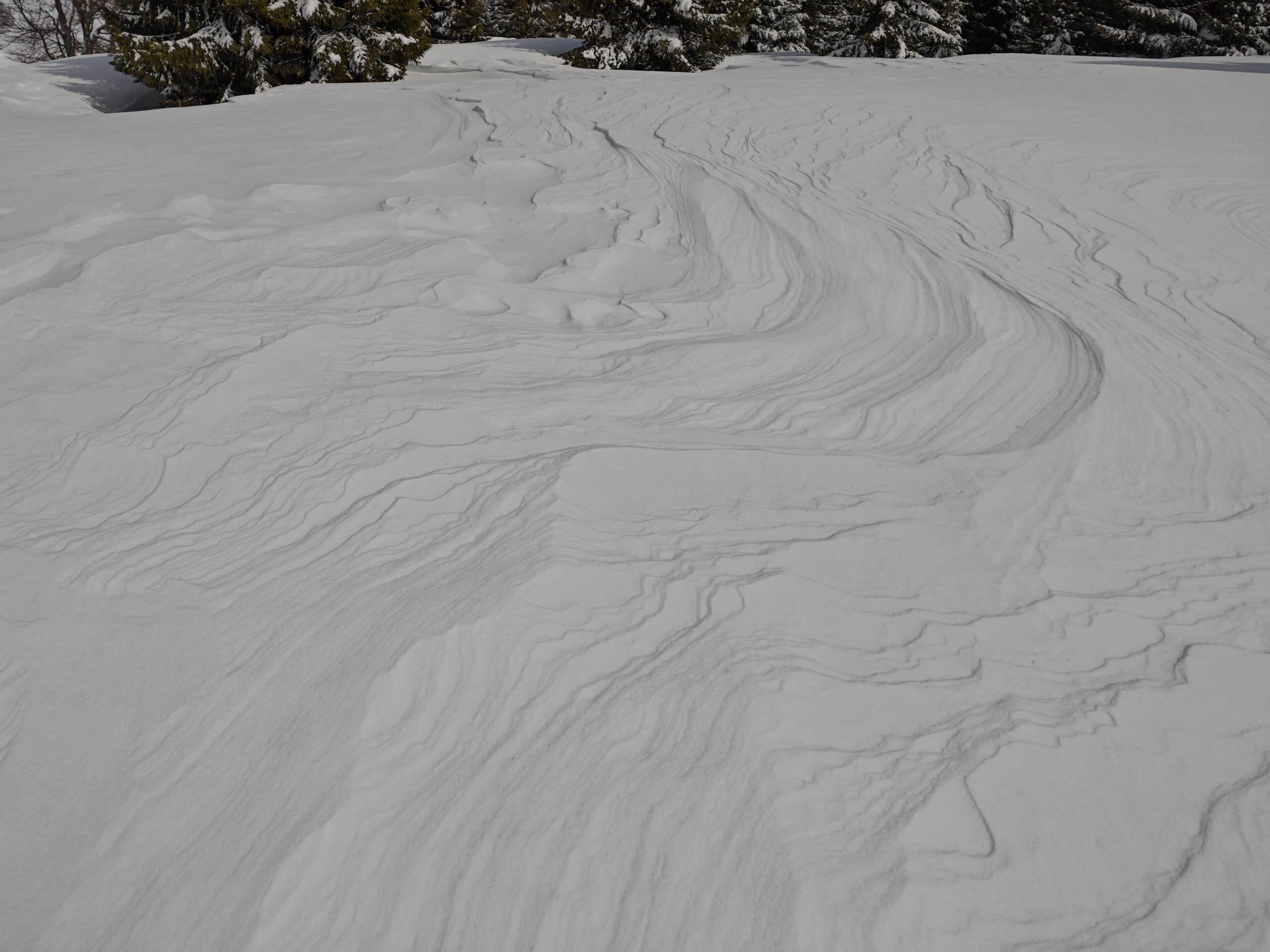 le vent dessine la neige Hiver 2026 vercors randonnée 