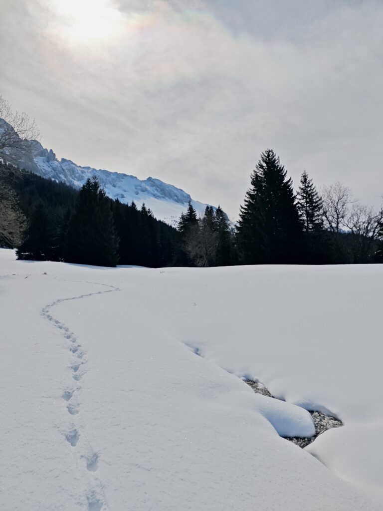 paysage féérique hiver 2026  vercors randonnée