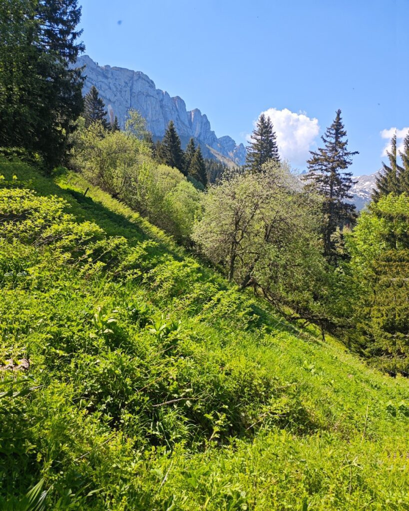 séjour randonnée bivouac Vercors - nuit étoilée plateau mai 2026
