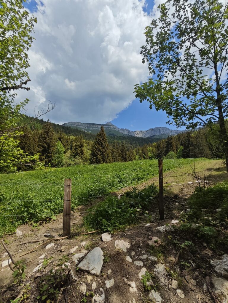 séjour randonnée bivouac Vercors - nuit étoilée plateau mai 2026
